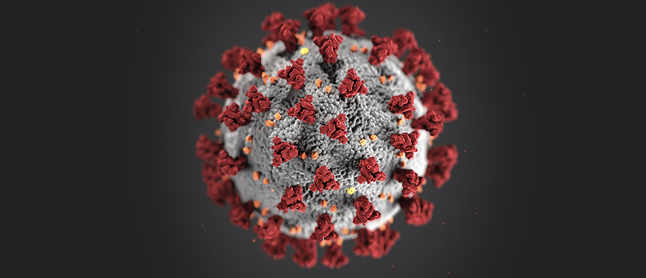Coronavirus: mitos y realidades